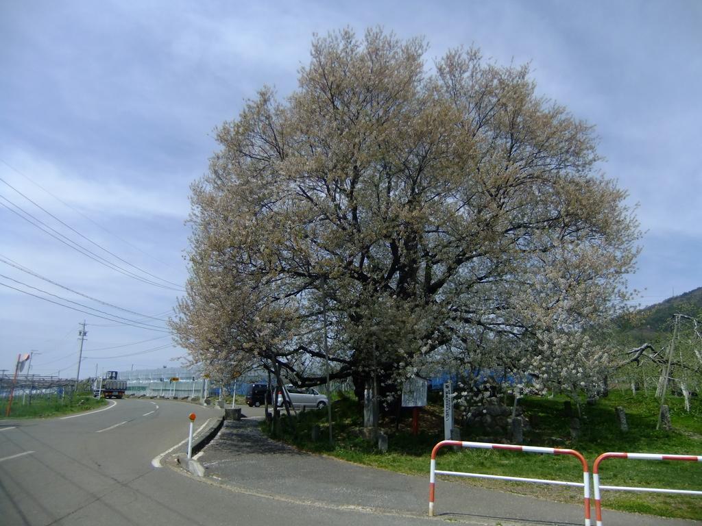 Shiga Park Hotel Yamanouchi  Exterior photo